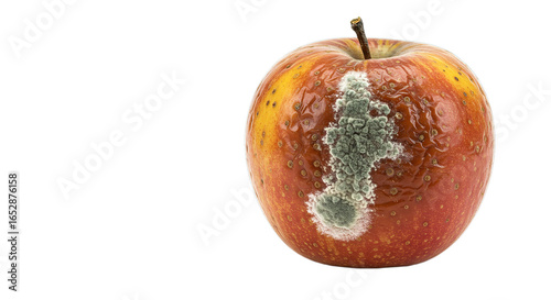 Close up of a decaying apple with visible mold growth and stem on a plain dark colored surface