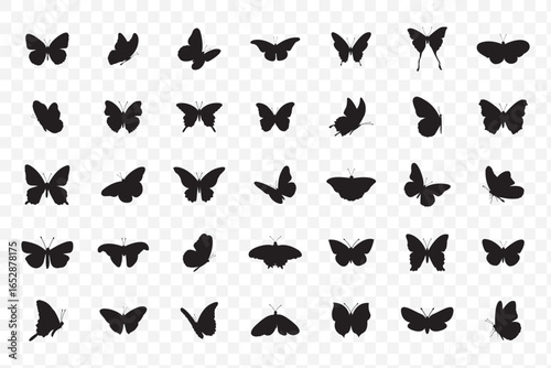 Butterfly Silhouette Set A collection of butterfly silhouette vector  for elegant tattoo designs, nature-themed art, and decorative . eps 10