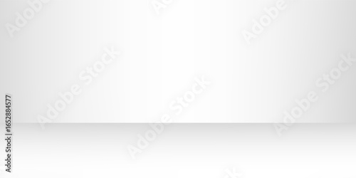 Modern white and gray studio background simple abstract