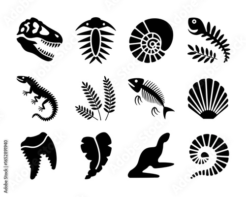 Collection of fossil silhouettes including dinosaur skull and ammonite isolated on white background
