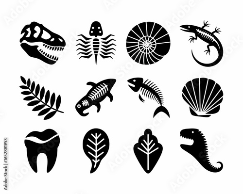 Collection of prehistoric fossil silhouettes and ancient life forms isolated on white background silhouette