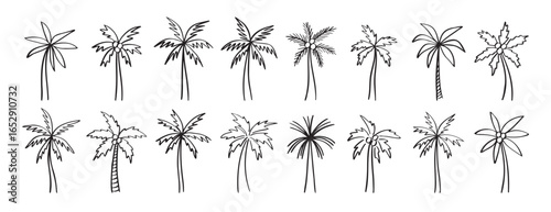 palm tree doodle hand drawn icon set. Outline drawing palm tree line clipart symbol collection