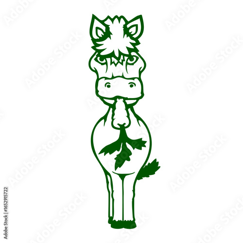 Horse eats Carrot eating Hunger Healthy Vegetables