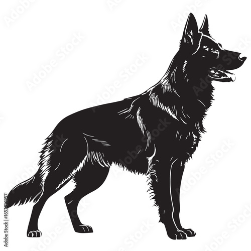 black german shepherd Silhouette Vector, High Quality Illustration on White Background
