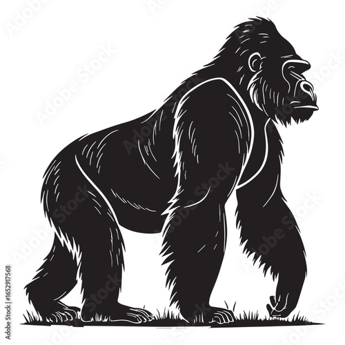 black gorilla Silhouette Vector, High Quality Illustration on White Background