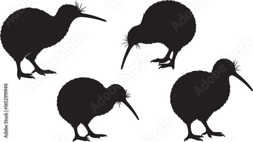 Vector silhouette four black kiwi bird silhouettes isolated on a white background