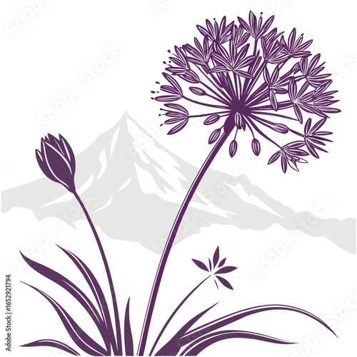 vector illustration of allium mount everest