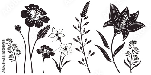 Flowers line icon set. Vector pictograms of rose, daisy, tulip, sunflower, various flower species - lily, orchid, hydrangea, lavender, thin linear illustration.