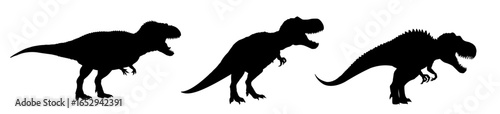 Tyrannosaurus rex silhouette set  - vector illustration