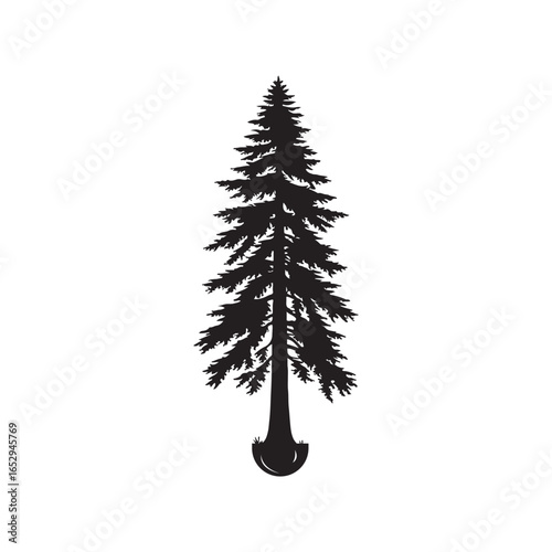 Obraz na płótnie Black Color Cedar Tree Silhouette Vector Illustration, Solid White Background