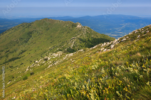 A scenic view from the hiking path to Rtanj Mountain, showcasing vibrant green hills and distant landscapes.