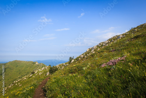 A breathtaking view of the hiking trail leading to Rtanj Mountain, showcasing rich greenery and expansive skies.