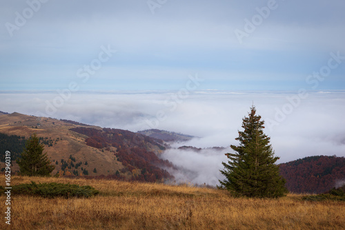 An aerial view showcasing a serene mountain landscape blanketed by clouds near Kopaonik, Serbia, highlighting autumn foliage.