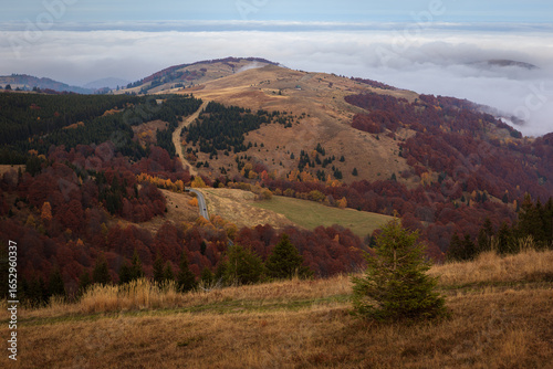 An aerial view of autumn-colored trees and rolling hills surrounded by a blanket of clouds.