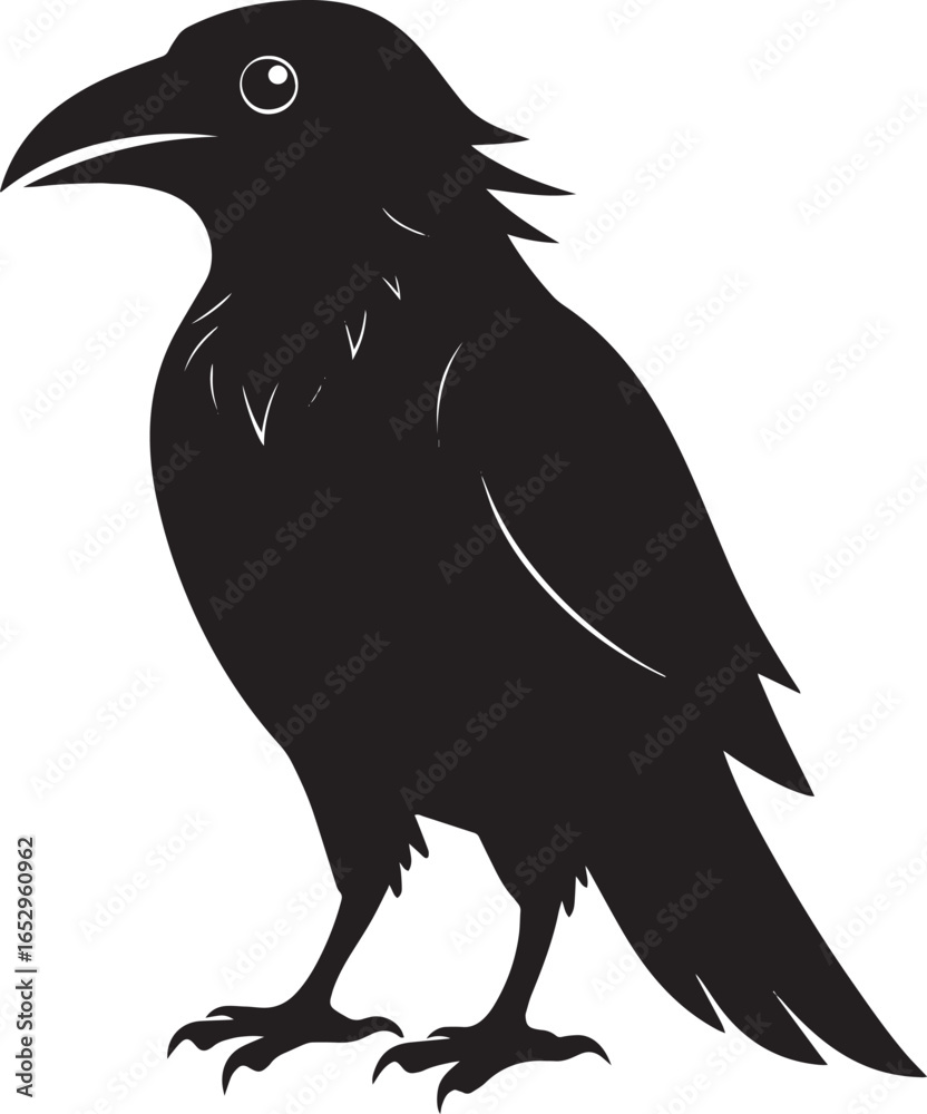 Fototapeta premium Halloween Raven Silhouette – Spooky Gothic Bird Clip Art for Halloween & Witchcraft Designs