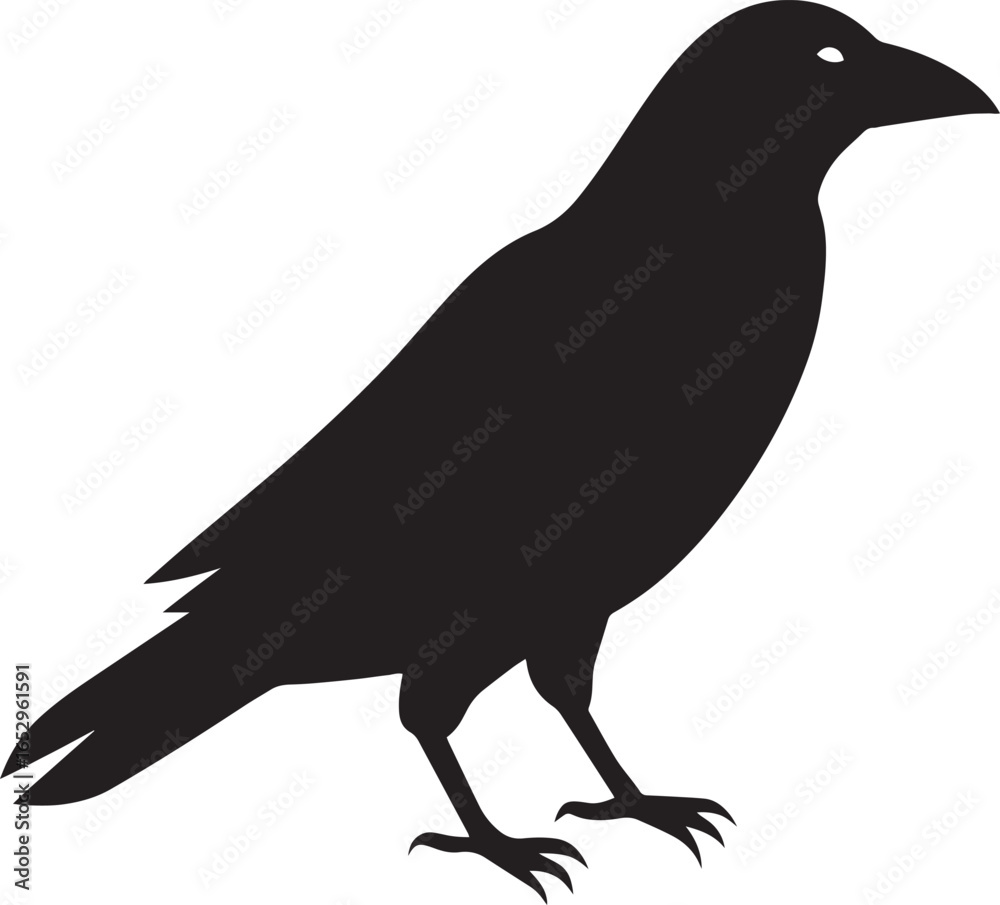 Fototapeta premium Halloween Raven Silhouette – Spooky Gothic Bird Clip Art for Halloween & Witchcraft Designs