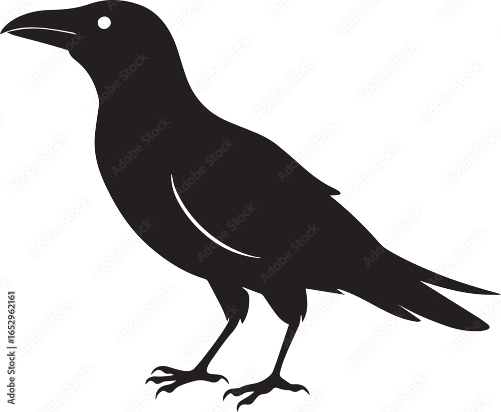Obraz premium Halloween Raven Silhouette – Spooky Gothic Bird Clip Art for Halloween & Witchcraft Designs