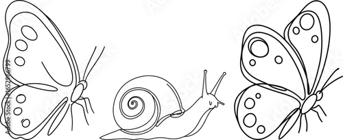 Vector illustration of butterfly and snail line art, nature insect drawing, garden animals outline, delicate butterfly wings, snail shell vector