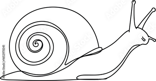 Vector illustration of snail with spiral shell, hand-drawn garden animal line art, black and white minimal nature sketch