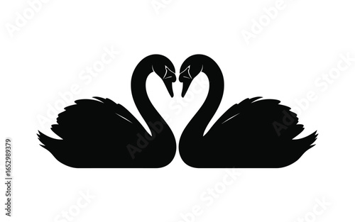 Two swans forming a heart shape, a symbol of love and eternal bond, isolated on white background