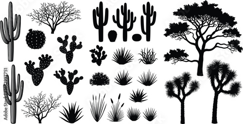 Silhouettes of desert plants and trees including cacti, shrubs, and Joshua trees, isolated for botanical, design, and educational use