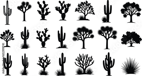 Silhouettes of twenty desert plants and cacti including saguaro, prickly pear, and Joshua trees, isolated for botanical and design use