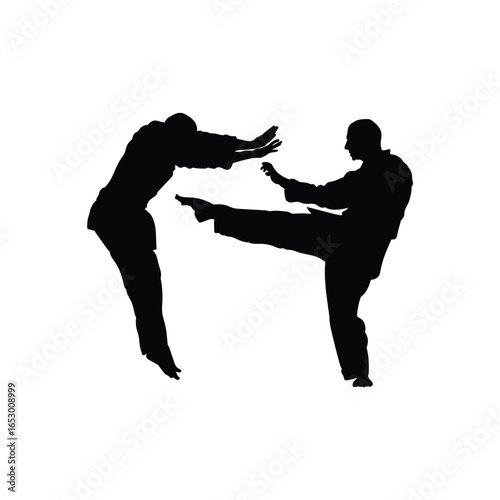Taekwondo athletes silhouette fighting, kicking, and knocked back