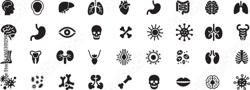 Human organ, anatomy icon set. Vector glyph pictograms of brain, heart, lungs, liver, stomach, intestine, kidney medical, healthcare, and biology concept black silhouette illustration.