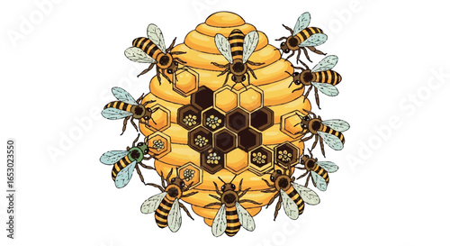 Honeybees and hive illustration in vibrant colors