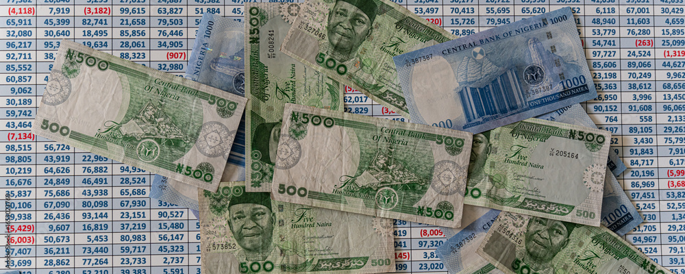 Fototapeta premium Spreadsheet covered with Nigerian Naira banknotes