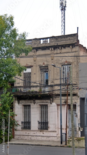 Tree growing in front of a derelict building in Buenos Aires, Argentina