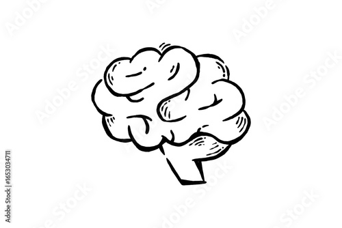 Human brain organ system hand drawn vector icon illustration