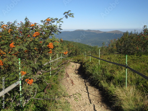 Fototapeta Naklejka Na Ścianę i Meble -  mountain road