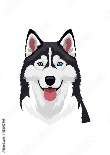 siberian husky dog vector illustration white background