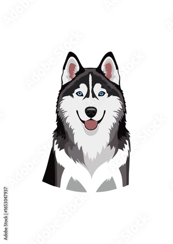 siberian husky dog vector illustration white background