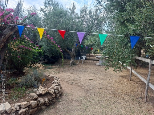 garden in spring