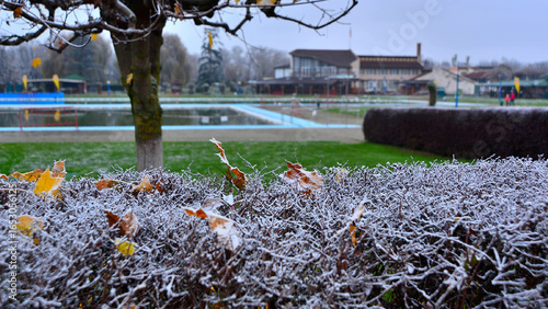 Frost-covered hedge at the Weekend complex, Tragu Mures 