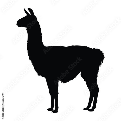 Black silhouette of a llama standing 
