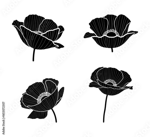 set of poppy flower silhouettes, isolated background