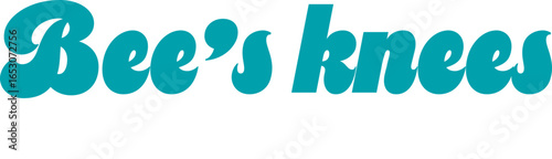 Vector Typography Quote for T-shirt Print - BEES KNEES