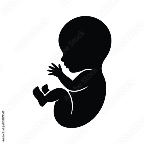 Black silhouette of a human fetus in the womb position