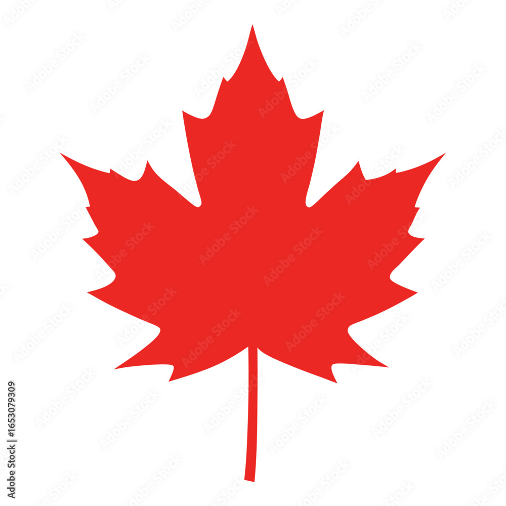 A stylized Canadian red maple leaf is a seasonal symbol of fall, a star-shaped icon of nature and the national flag A stylized Canadian red maple leaf is a seasonal symbol of fall, a star-shaped icon of nature and the national flag