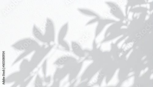 Wallpaper Mural Minimalist abstract background showing the gray shadow of tree leaves on a white wall, a neutral and natural concept Torontodigital.ca