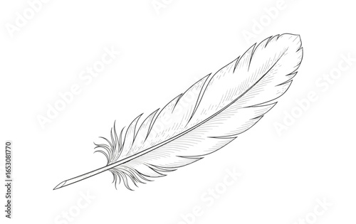 Detailed monochrome feather design