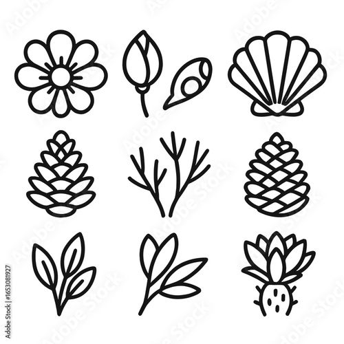 Nature Icons Collection. Line style icons of open and closed nature items: open flower, closed bud, open clamshell, closed shell,