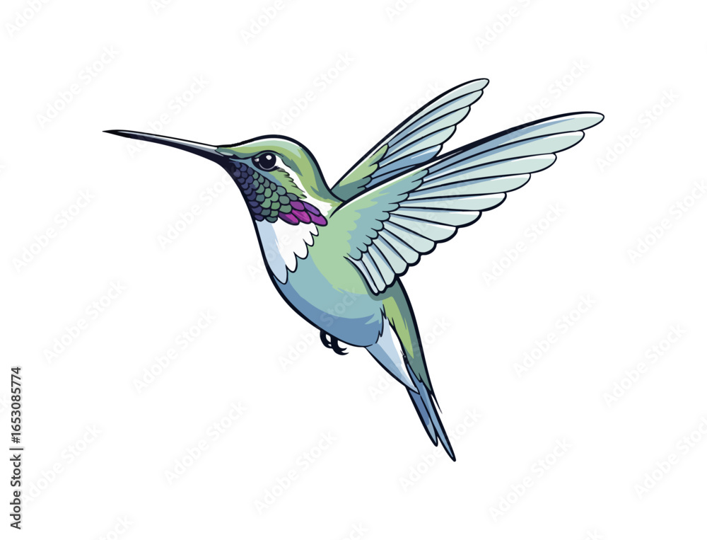 Fototapeta premium Hummingbird in flight illustration