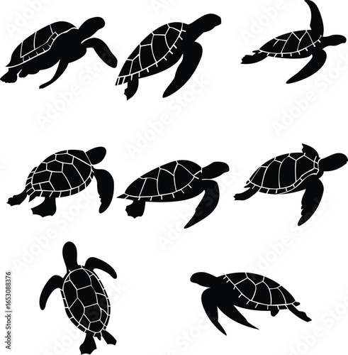 Turtle Silhouette Icon for Digital and Graphic Use