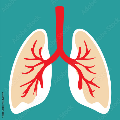 Lungs