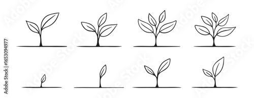 Growing sprout plant doodle hand drawn icon set. Growth phases and stages outline drawing line clipart symbol collection