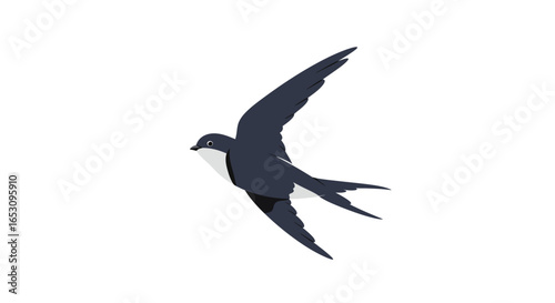A graceful swallow in flight, captured in a minimalist illustration with clean lines and a white background.